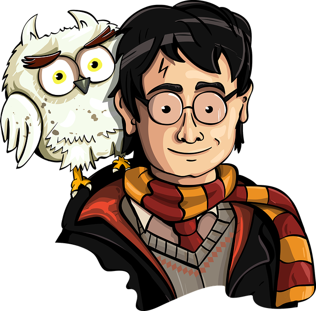 obrázek Harryho Pottera