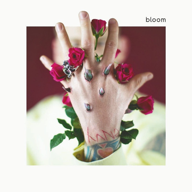 bloom cover